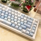 Water Fennel 104+26 PBT Dye-subbed Backlit Keycaps Set Cherry Profile for MX Switches Mechanical Keyboard Top / Side Legends